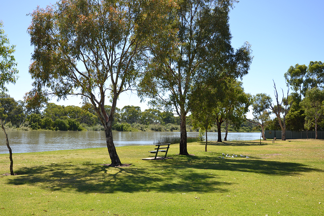 72 Bed Licenses obtained for Murray Bridge